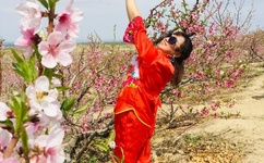 日本工口漫画网